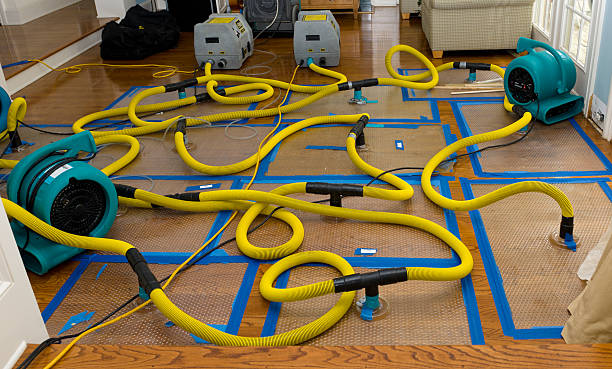 Professional Water Damage Restoration technician working in Itasca, TX